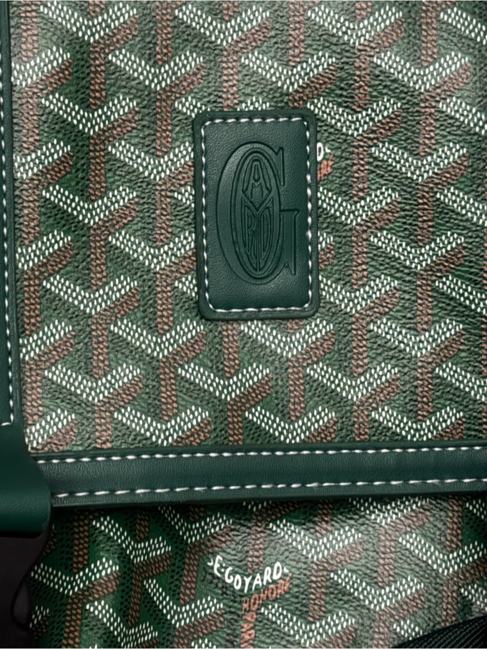 Goyard Green Patterned Canvas Backpack with Leather Trim